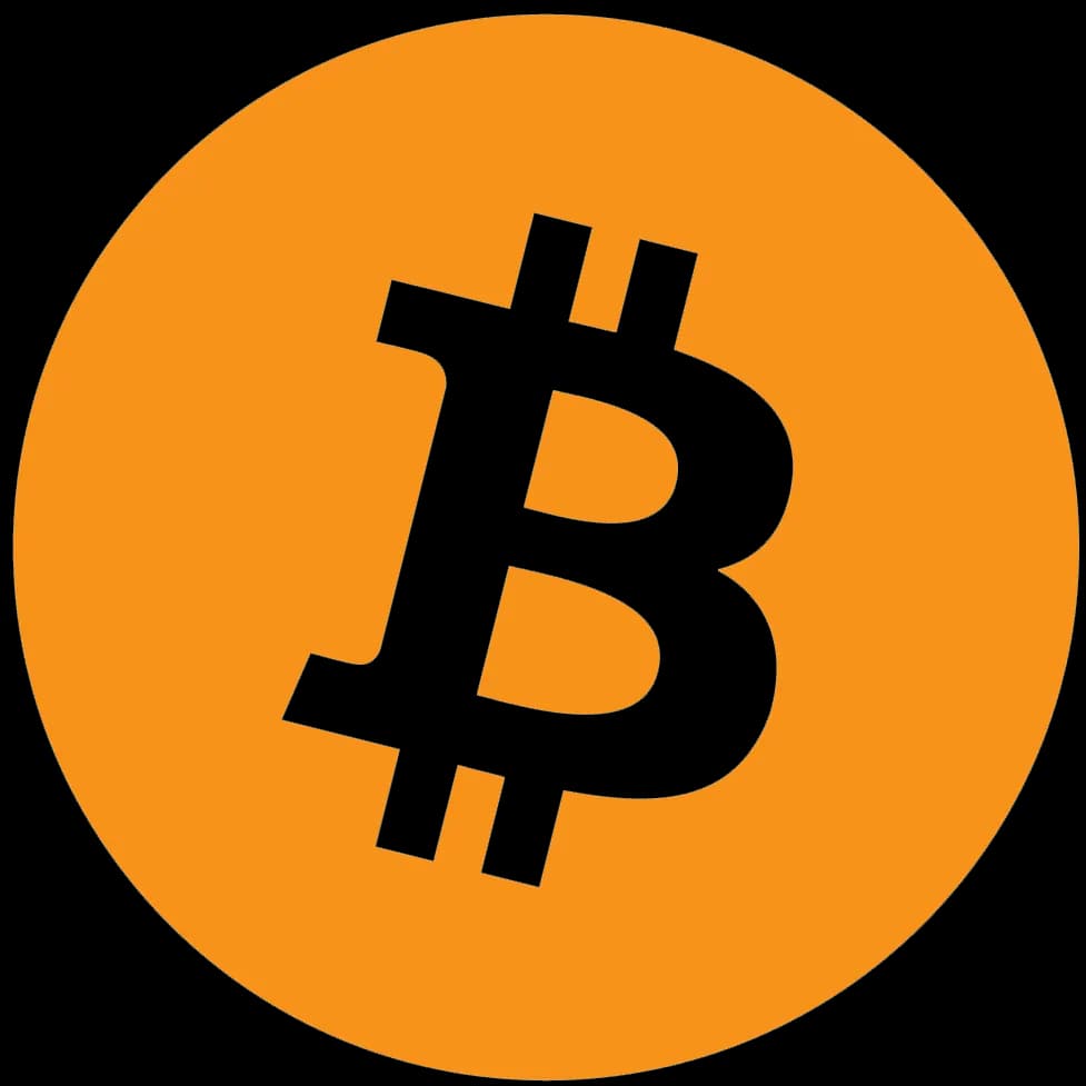 Satoshi Nakamoto. logo