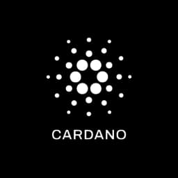 Blockchain Partner